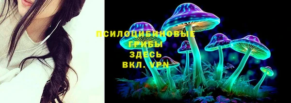 ешки Алзамай