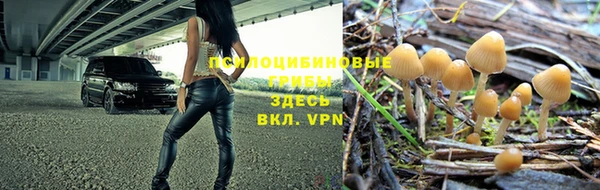 ALPHA PVP Протвино