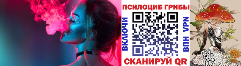 Галлюциногенные грибы Psilocybine cubensis  Ивдель 